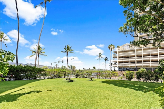 440 Seaside Ave Unit 404, Honolulu, HI 96815 - surrounding community with a lawn