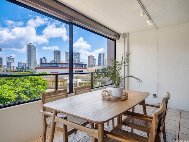 sunroom / solarium with a view of skyline, track lighting, and plenty of natural light