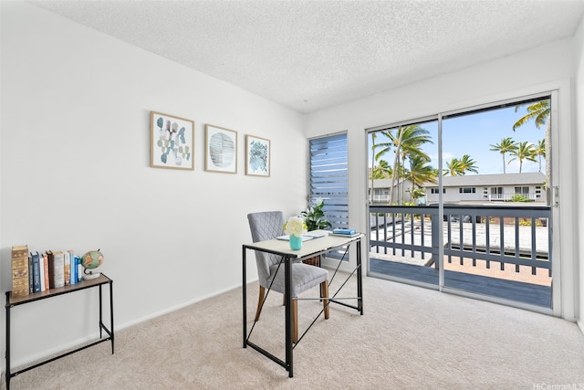 214 Koko Isle Cir Unit 1707, Honolulu, HI 96825 - office space featuring carpet, a textured ceiling, and baseboards