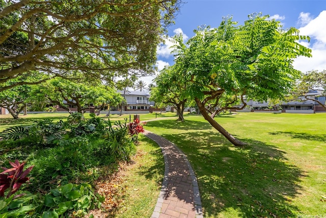214 Koko Isle Cir Unit 1707, Honolulu, HI 96825 - view of green lawn