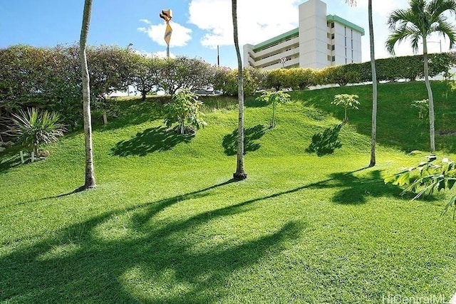2888 Ala Ilima St Unit 1508, Honolulu, HI 96818 - surrounding community featuring a yard