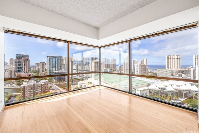 unfurnished sunroom featuring a view of skyline and plenty of natural light