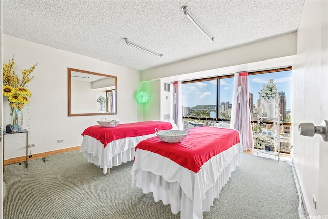 bedroom with access to exterior, carpet floors, a textured ceiling, a view of city, and baseboards