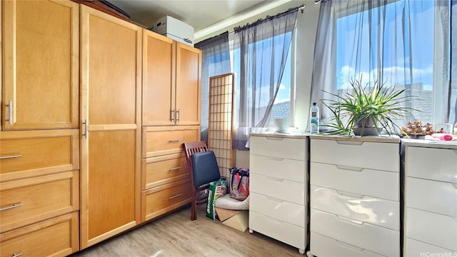 2122 Lime St Unit 307, Honolulu, HI 96826 - walk in closet with light wood-type flooring