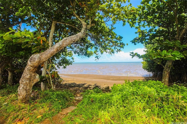 47-766 Kamehameha Hwy, Kaneohe, HI 96744 - water view with local beach