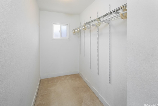 3453 Edna St, Honolulu, HI 96815 - walk in closet with light carpet