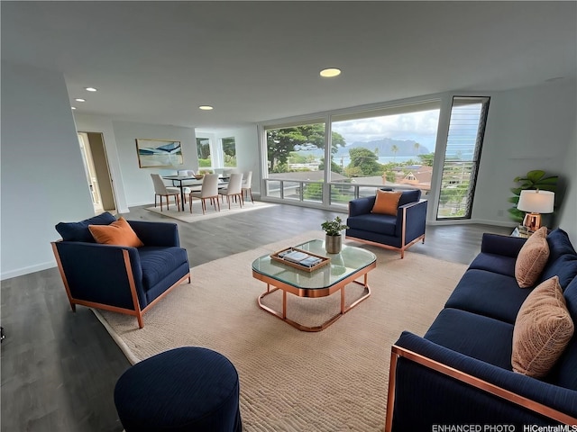 47-218 Kamehameha Hwy, Kaneohe, HI 96744 - living room featuring wood finished floors, recessed lighting, and baseboards