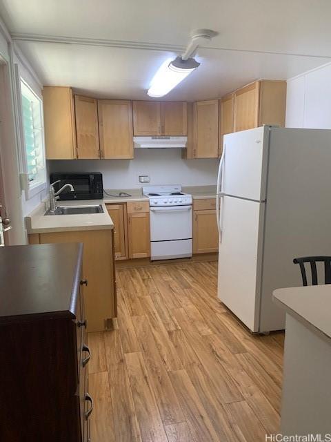3031 Libert St, Honolulu, HI 96816 - kitchen with white appliances, under cabinet range hood, a sink, light wood-style floors, and light countertops