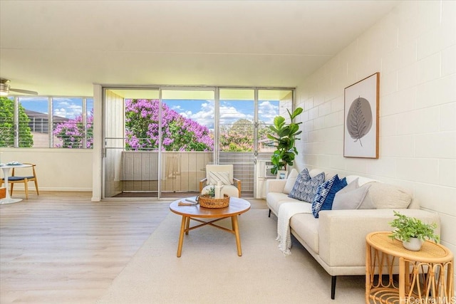 94-327 Hokuahiahi St Unit 325, Mililani, HI 96789 - living area with light wood finished floors and baseboards