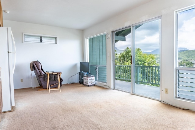 1164 Manulani St, Kailua, HI 96734 - living area featuring carpet flooring