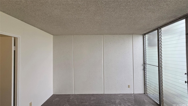 95-009 Waikalani Dr Unit B202, Mililani, HI 96789 - empty room featuring carpet and a textured ceiling