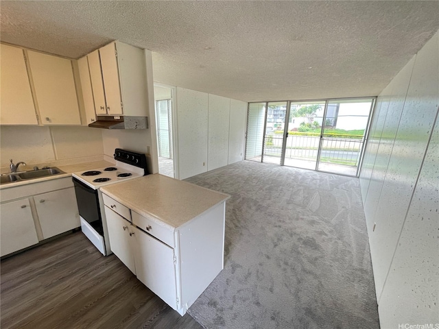 95-009 Waikalani Dr Unit B202, Mililani, HI 96789 - kitchen featuring white range with electric stovetop, a sink, under cabinet range hood, a textured ceiling, and a peninsula