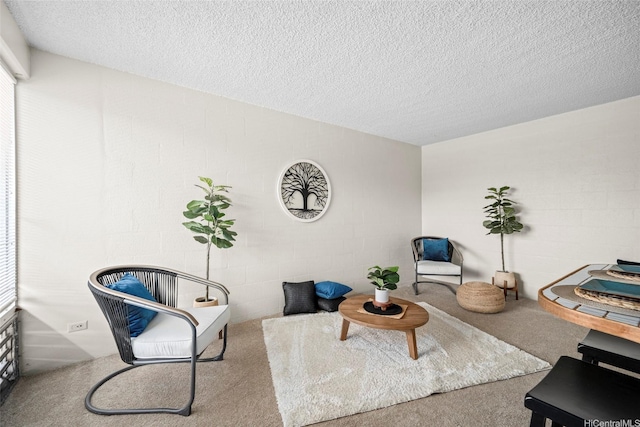 1670 Kalakaua Ave Unit 803, Honolulu, HI 96826 - carpeted living room featuring concrete block wall and a textured ceiling