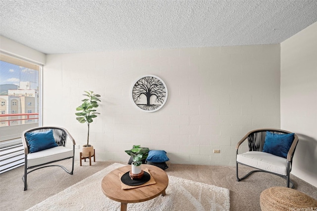 1670 Kalakaua Ave Unit 803, Honolulu, HI 96826 - sitting room featuring carpet, a textured ceiling, and concrete block wall