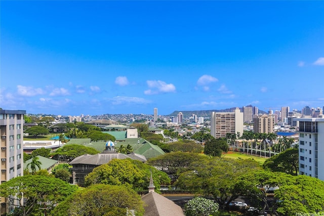 1541 Dominis St Unit 1601, Honolulu, HI 96822 - surrounding community featuring a city view