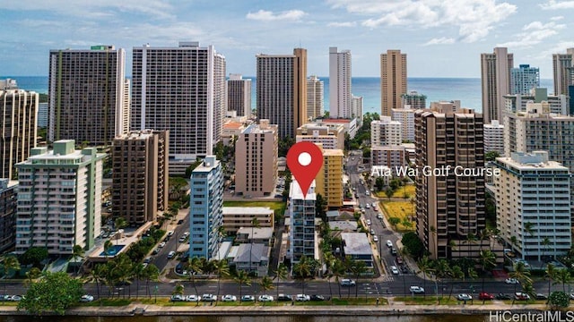 2509 Ala Wai Blvd Unit 804, Honolulu, HI 96815 - view of city with a large body of water