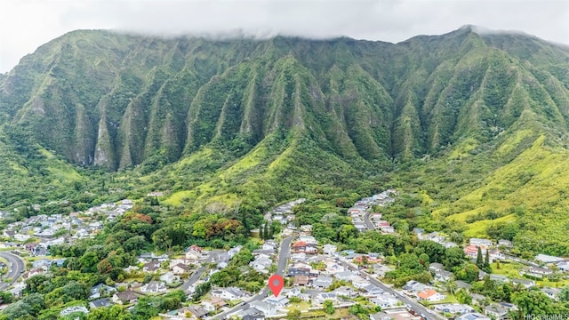 47-612 Hui Kelu St, Kaneohe, HI 96744 - mountain view featuring a forest and nearby suburban area