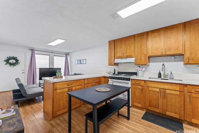 2501 Coyne St Unit 102, Honolulu, HI 96826 - photo 5