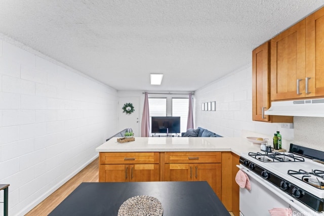 2501 Coyne St Unit 102, Honolulu, HI 96826 - photo 8