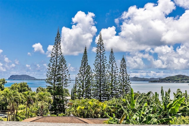 47-114 Kaimalolo Pl, Kaneohe, HI 96744 - photo 7