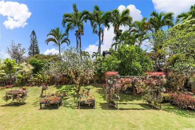 94-046 Puanane Pl, Mililani, HI 96789 - view of green lawn