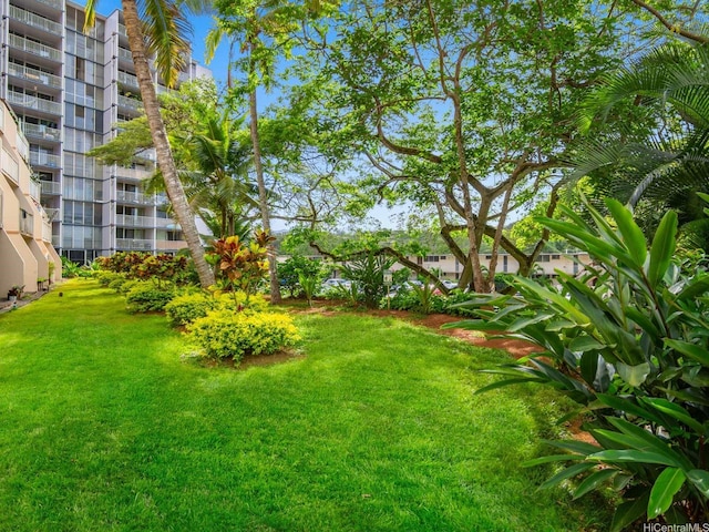 95-65 Waikalani Dr Unit F302, Mililani, HI 96789 - view of green lawn