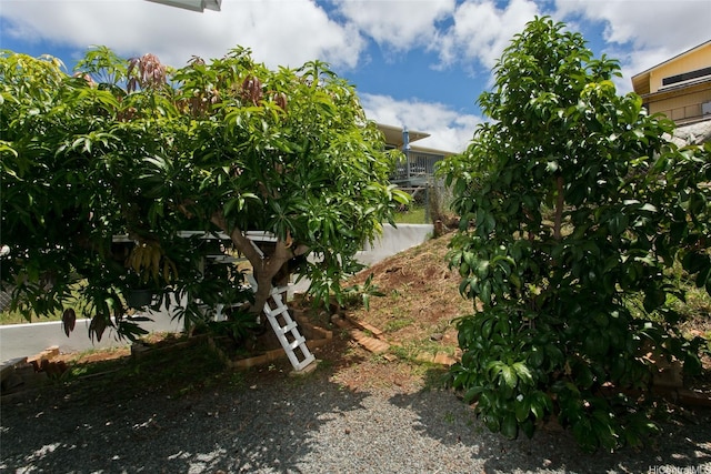 92-675 Wainohia Pl, Kapolei, HI 96707 - view of yard