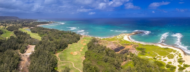 56-1080 Kamehameha Hwy Unit 2, Kahuku, HI 96731