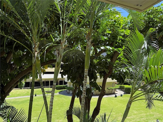 3161 Ala Ilima St Unit 206, Honolulu, HI 96818 - surrounding community with a yard