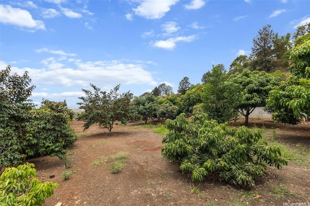94-1100 Kunia Rd Unit 12A, Waipahu, HI 96797