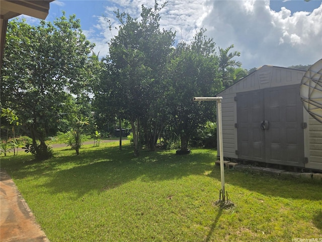 61-286 Kamehameha Hwy, Haleiwa, HI 96712 - view of green lawn