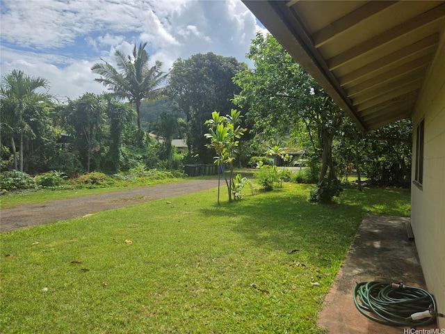 61-286 Kamehameha Hwy, Haleiwa, HI 96712 - view of grassy yard