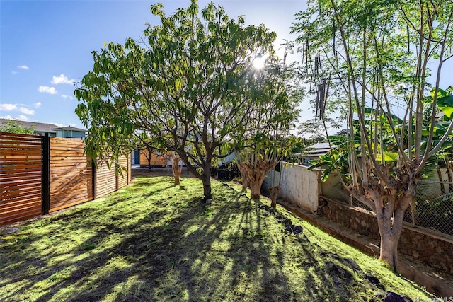 92-370 Malahuna Pl, Kapolei, HI 96707 - view of fenced backyard