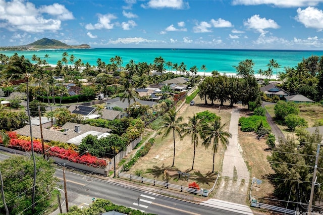 245 Hualani St Unit B, Kailua, HI 96734 - photo 16
