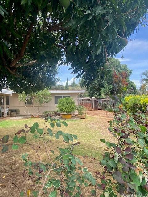 94-549 Pilimai St, Waipahu, HI 96797 - view of yard