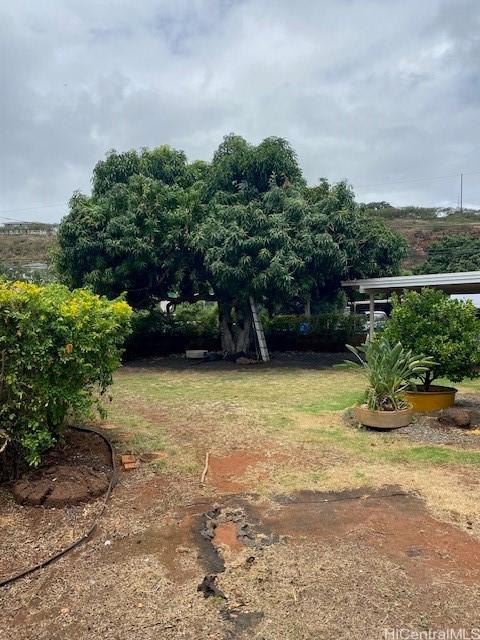 94-549 Pilimai St, Waipahu, HI 96797 - view of yard