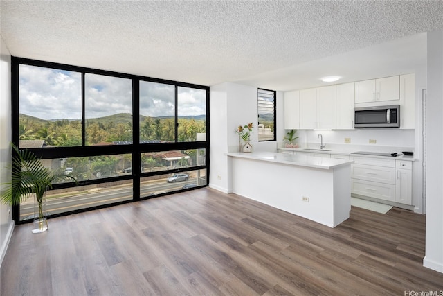 3070 Ala Ilima St Unit 306, Honolulu, HI 96818 - kitchen with stainless steel microwave, expansive windows, a sink, black electric cooktop, and a textured ceiling