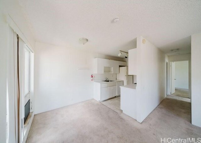 91-1089 Puamaeole St Unit 15C, Ewa Beach, HI 96706 - unfurnished living room with a sink, light carpet, a textured ceiling, and a fireplace