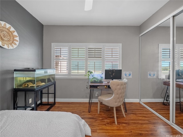 95-1073 Loea St, Honolulu, HI 96789 - bedroom with wood finished floors, a closet, an office area, and baseboards