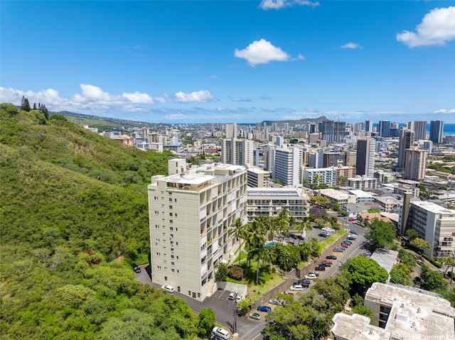 666 Prospect St Unit I506, Honolulu, HI 96813 - view of urban area