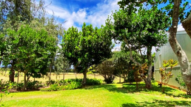 57-120 Lalo Kuilima Way Unit 2/17, Kahuku, HI 96731 - view of grassy yard