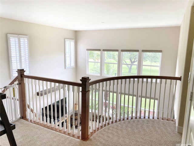 91-1103 Waikai St, Ewa Beach, HI 96706 - corridor featuring carpet floors and plenty of natural light
