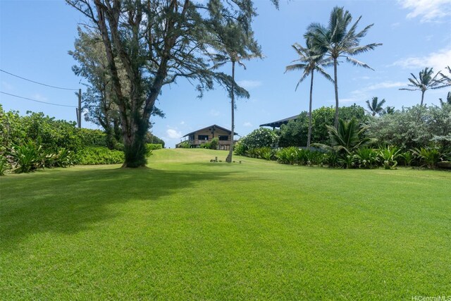 56-189 Kamehameha Hwy, Kahuku, HI 96731 - view of green lawn