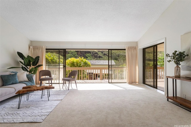 1630 Kalaniiki St Unit 31, Honolulu, HI 96821 - living room with carpet, plenty of natural light, a textured ceiling, and vaulted ceiling