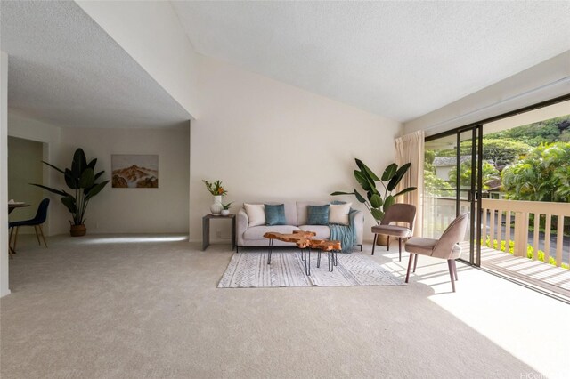 1630 Kalaniiki St Unit 31, Honolulu, HI 96821 - carpeted living room with vaulted ceiling and a textured ceiling