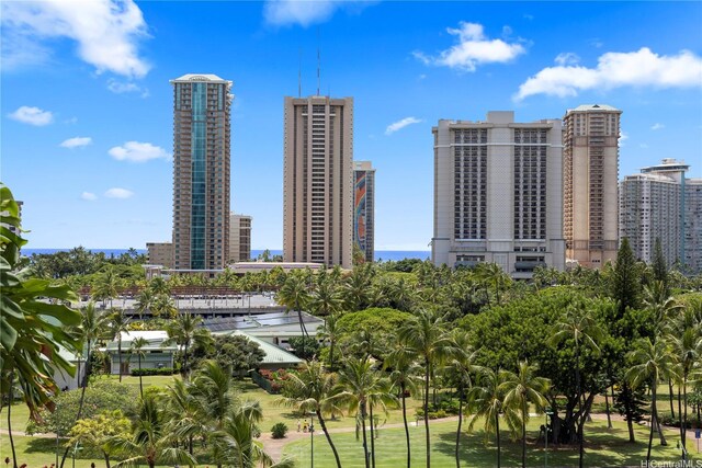 419 Keoniana St Unit 1003, Honolulu, HI 96815 - city view