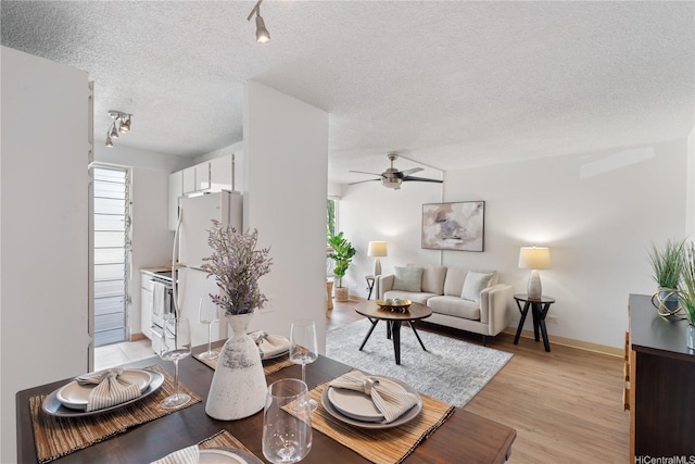 1670 Kalakaua Ave Unit 205, Honolulu, HI 96826 - living area with plenty of natural light, ceiling fan, a textured ceiling, light wood-style flooring, and rail lighting