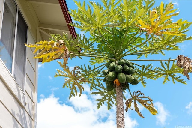 91-1026 Laulauna St Unit 10A, Ewa Beach, HI 96706 - exterior view