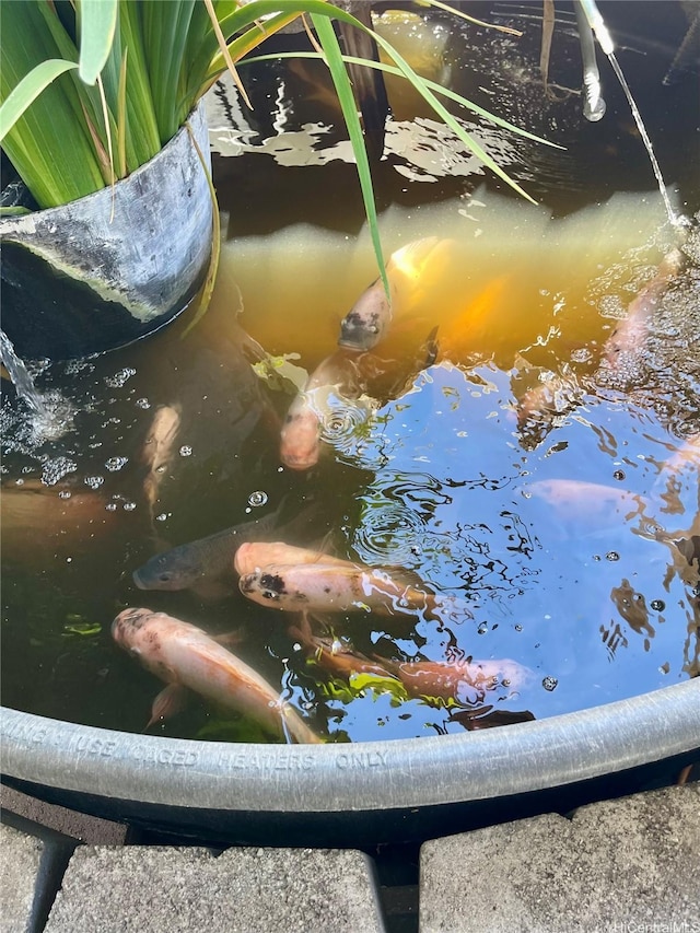 91-1227 Kamaaha Ave Unit 302, Kapolei, HI 96707 - exterior view of a garden pond