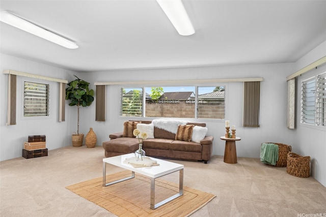 47-541 Hui Iwa St, Kaneohe, HI 96744 - living area with carpet floors